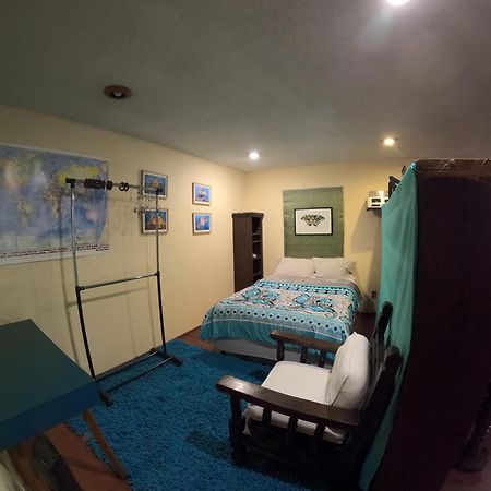 Neighbor Of Frida Khalo, Vintage Stay In Coyoacan Мексико Сити Екстериор снимка