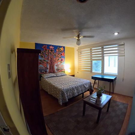 Neighbor Of Frida Khalo, Vintage Stay In Coyoacan Мексико Сити Екстериор снимка