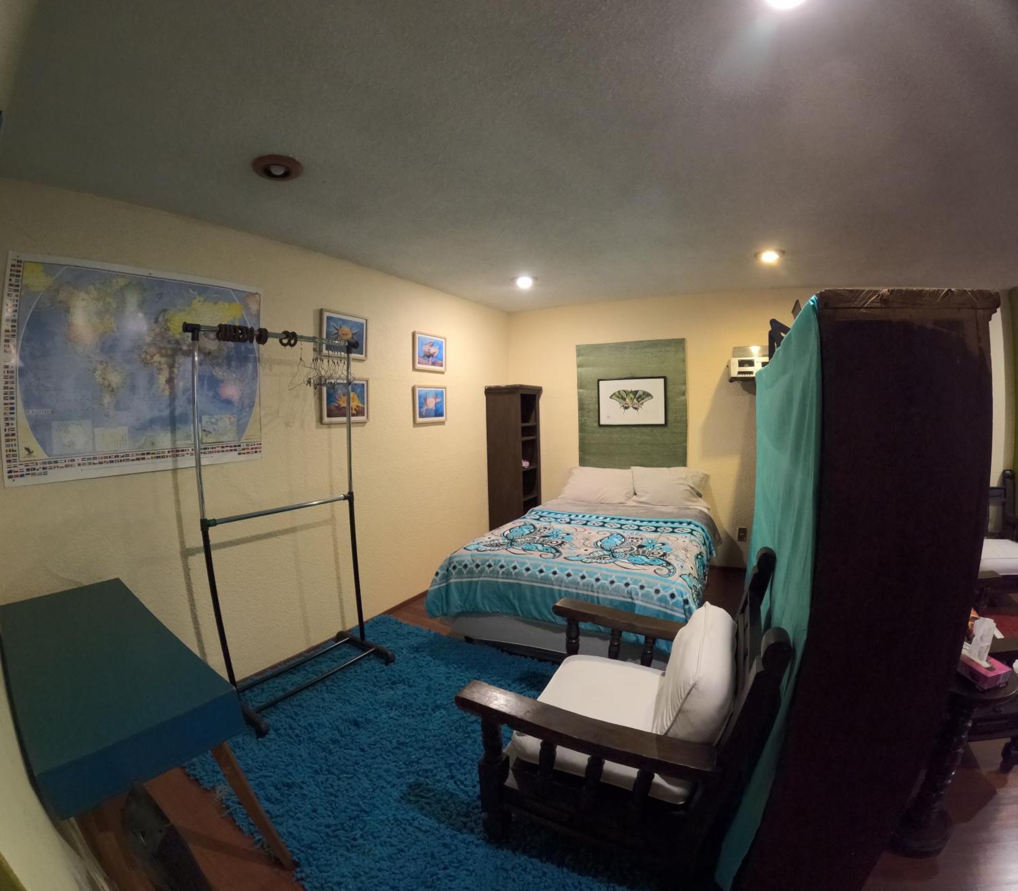 Neighbor Of Frida Khalo, Vintage Stay In Coyoacan Мексико Сити Екстериор снимка
