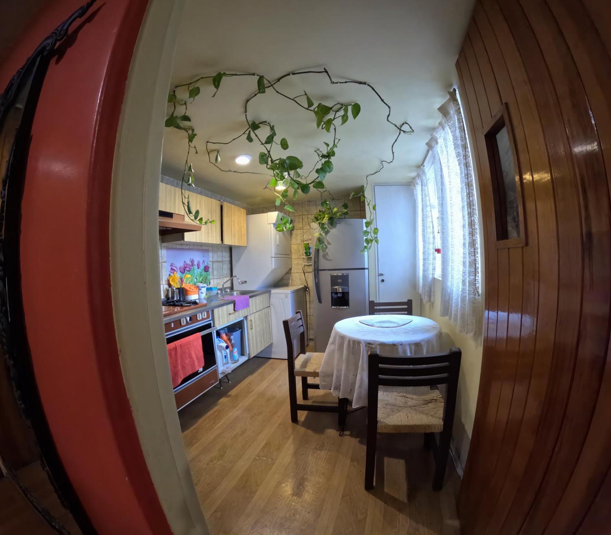 Neighbor Of Frida Khalo, Vintage Stay In Coyoacan Мексико Сити Екстериор снимка