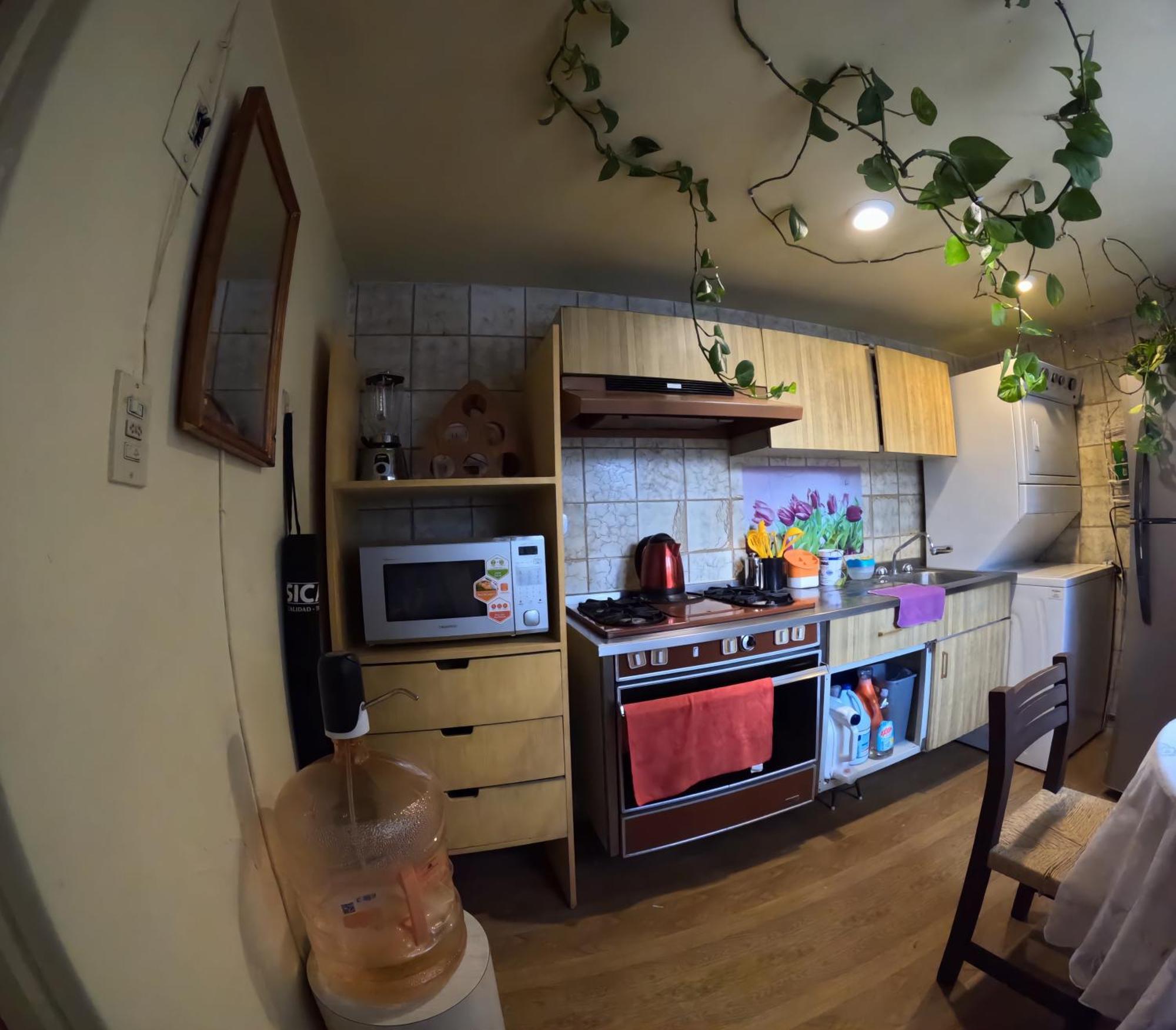 Neighbor Of Frida Khalo, Vintage Stay In Coyoacan Мексико Сити Екстериор снимка