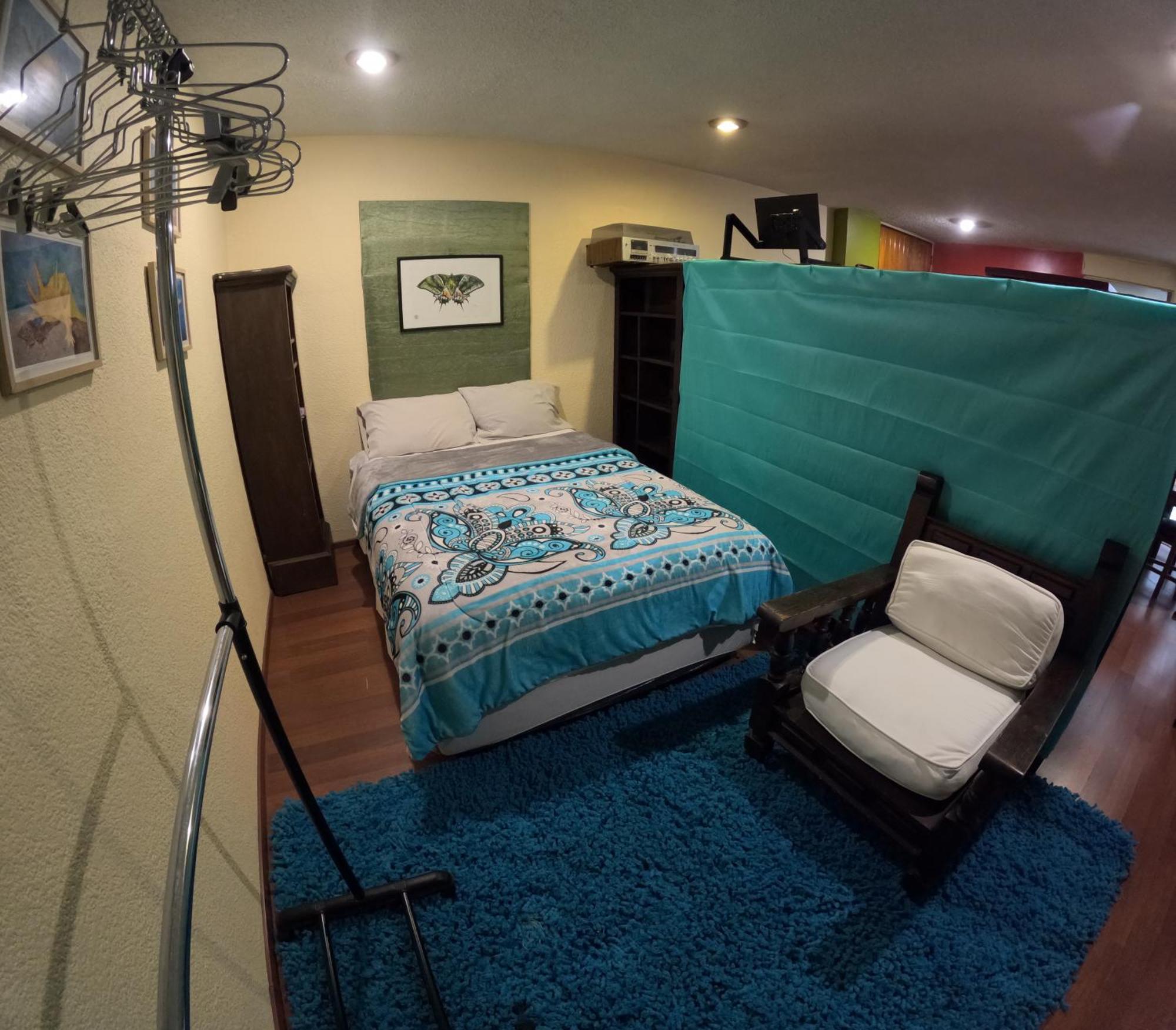 Neighbor Of Frida Khalo, Vintage Stay In Coyoacan Мексико Сити Екстериор снимка